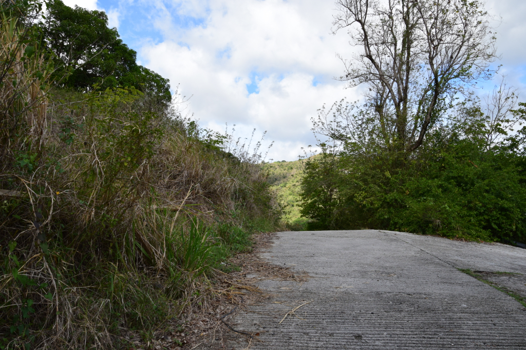 Vente Terrain à bâtir 700 m² RIVIEREPILOTE (97211)