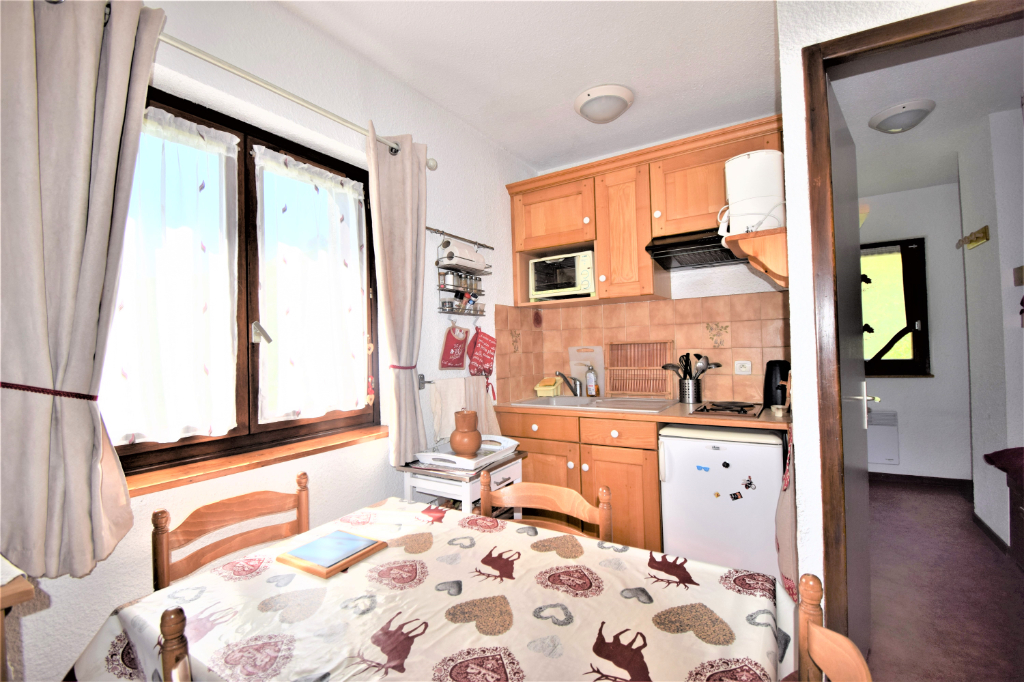 Vente Studio 21 m² SAINT-NICOLAS-LA-CHAPELLE (73590)