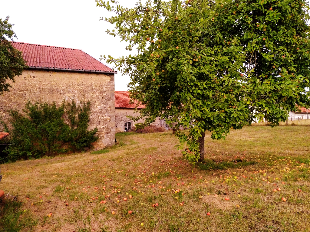 Vente Maison de village 137 m² TOLLAINCOURT (88320)