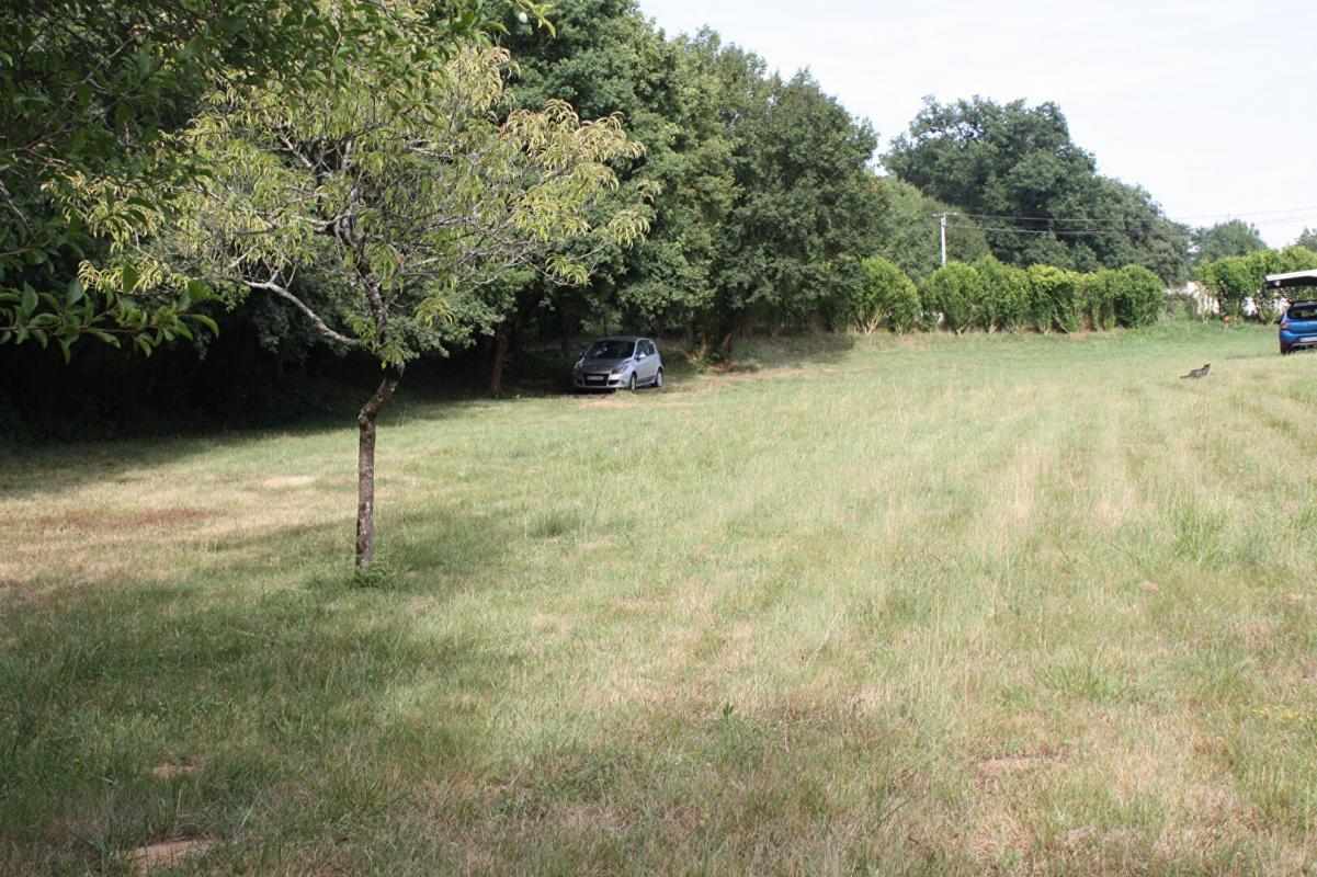 Vente Terrain à bâtir 2500 m² SAINTPORCHAIRE (17250)