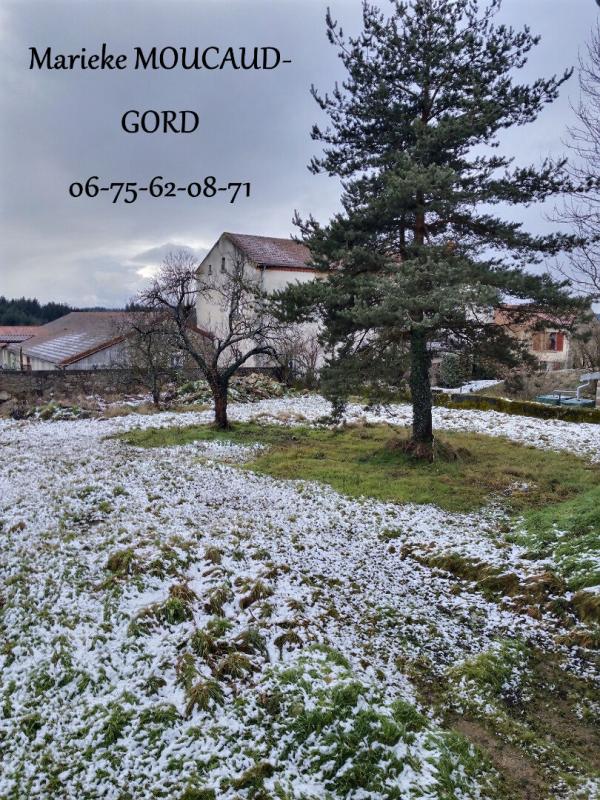 BOISSET BOISSET 43500 Centre village Maison en pierre 155 m² avec terrain 1000 m²entièrement à aménager 11