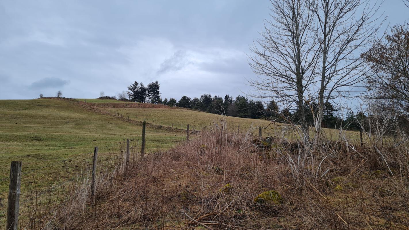 SAINT-GENEST-MALIFAUX Saint Genest Malifaux 42660 fermette sur deux niveaux comprenant environ 120m² habitables et un garage sur 1,3 hectare de terrain agricole 9