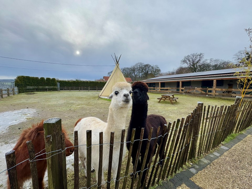 BOURNONVILLE PROPRIETES PRIVEES COTE D'OPALE  vous propose : 8