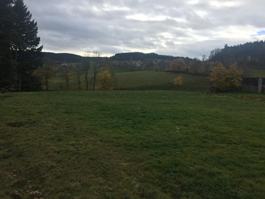 DUNIERES Dunières 43220 terrain constructible viabilisé environ 1218 m², très bonne exposition et vue dégagée 4