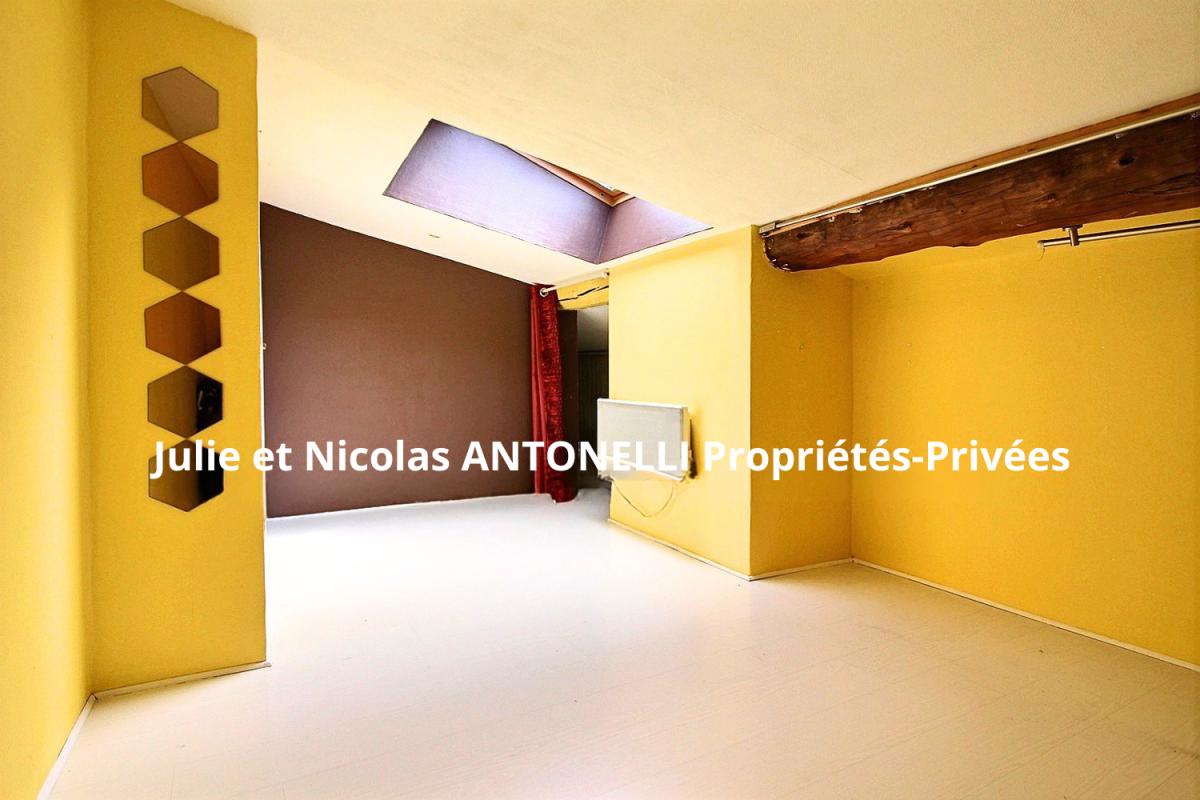 FIRMINY Appartement T2 46m² ( 63m² au sol ) 7