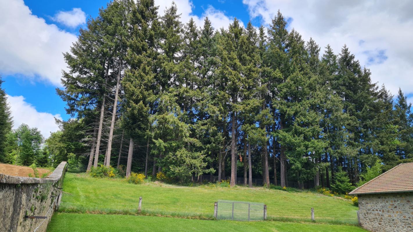 SAINT-ROMAIN-LACHALM Saint Romain Lachalm 700m² de bâtiments dont une maison d'habitation sur 1 hectare de terrain constructible 16