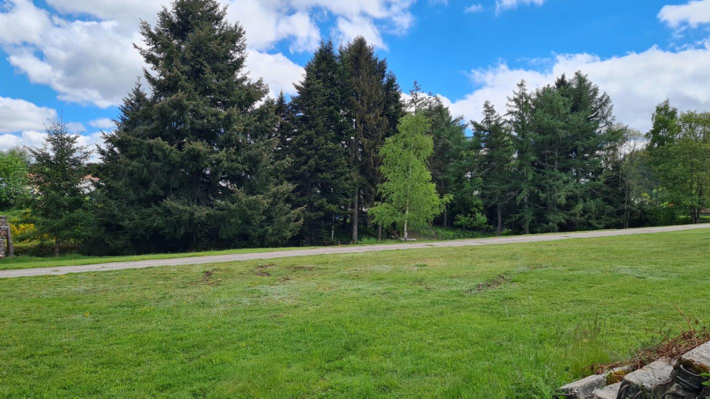 SAINT-ROMAIN-LACHALM Saint Romain Lachalm 700m² de bâtiments dont une maison d'habitation sur 1 hectare de terrain constructible 17