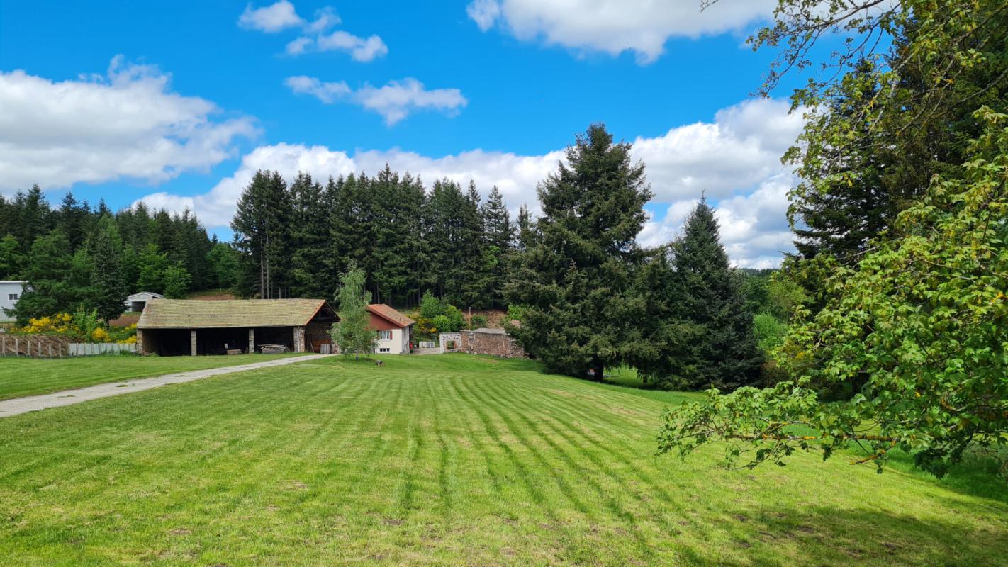 SAINT-ROMAIN-LACHALM Saint Romain Lachalm 700m² de bâtiments dont une maison d'habitation sur 1 hectare de terrain constructible 18