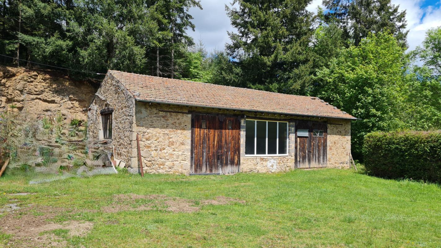 SAINT-ROMAIN-LACHALM Saint Romain Lachalm 700m² de bâtiments dont une maison d'habitation sur 1 hectare de terrain constructible 8