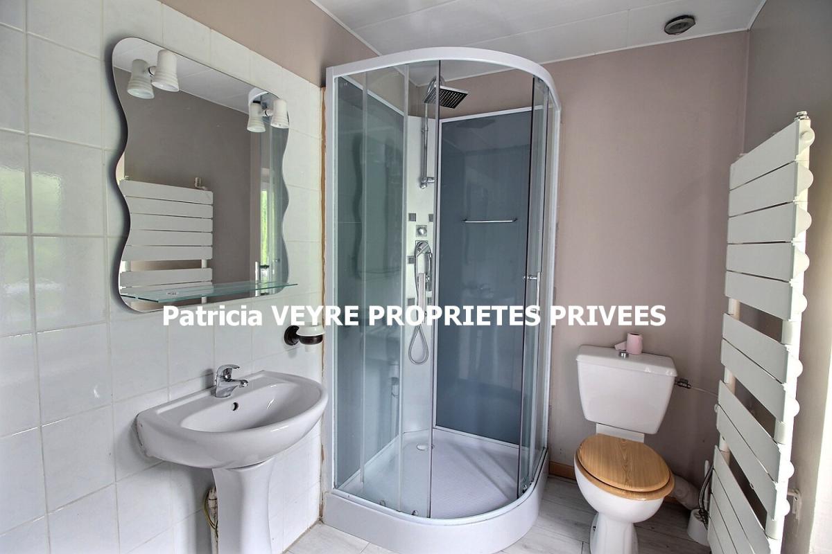 BOURG-ARGENTAL Maison Bourg Argental 96 m2 sur 479 m² de terrain avec quatre chambres 9