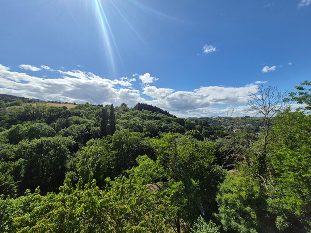LE CHAMBON-FEUGEROLLES Maison Le Chambon Feugerolles 11 pièce(s) 231.86 m2 14