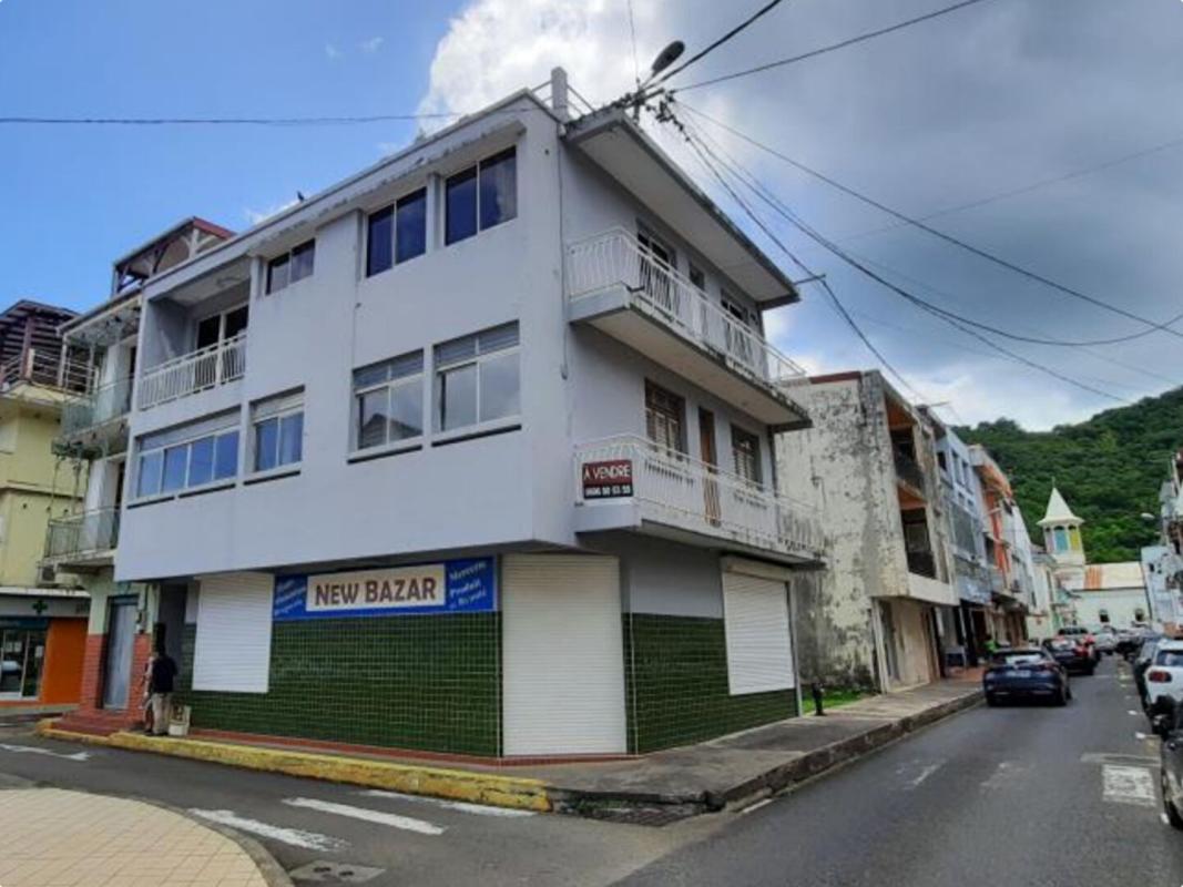 RIVIERE-PILOTE Immeuble Riviere Pilote 8 pièce(s à rafraîchir 2