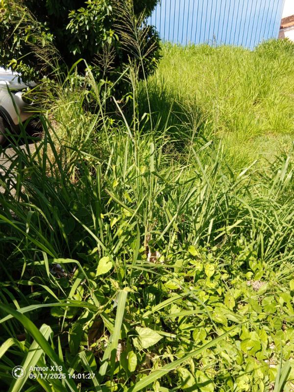 BASSE-POINTE Terrain  a basse-pointe de 556m2 ref 401345 5