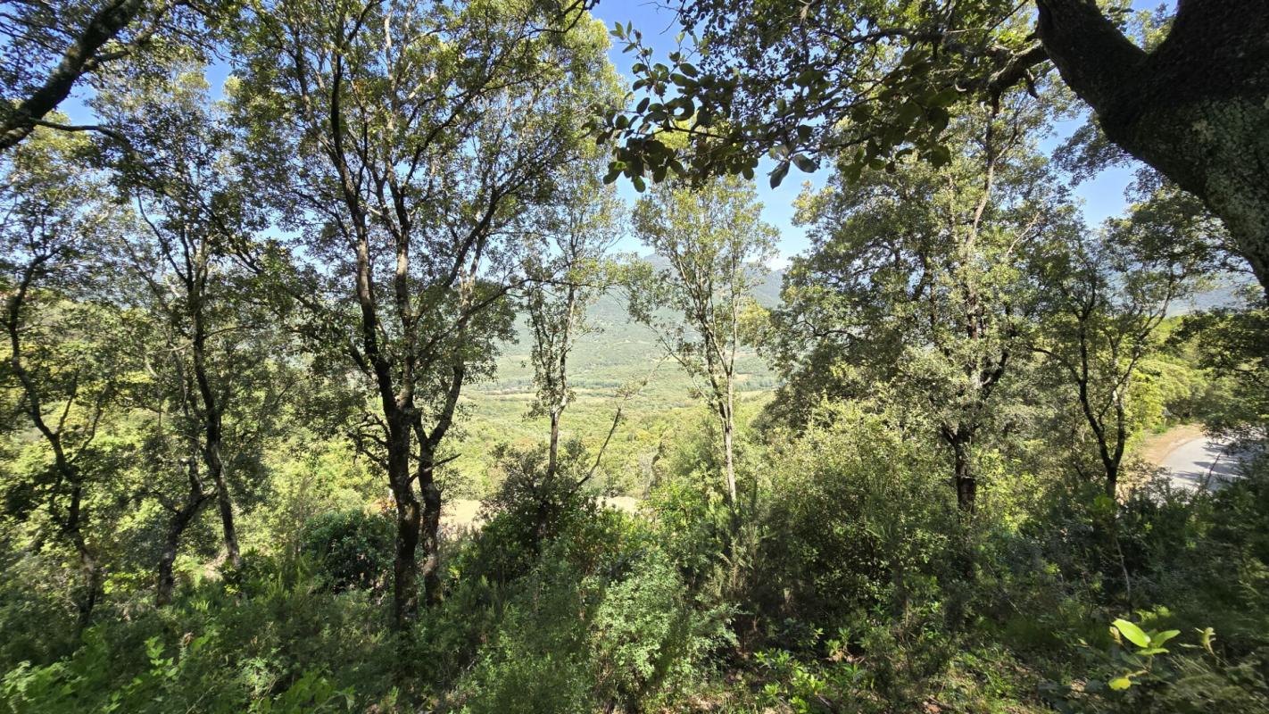 SARTENE Proche Sartene  à vendre terrain de 2032 m2 5