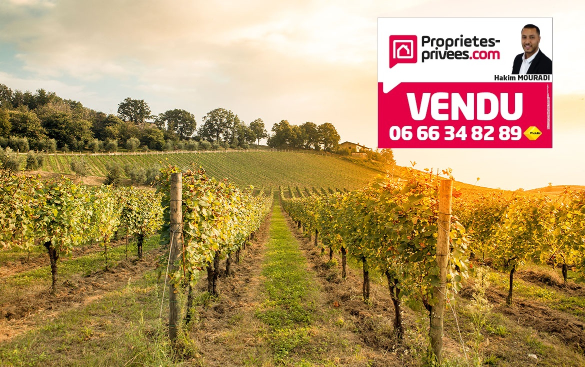 VIDAUBAN Terrain Vidauban 1280 m2 1