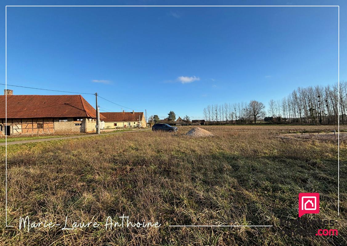 DAMPIERRE-EN-BRESSE Terrain constructible 5 minutes de Mervans 4400 m2 7