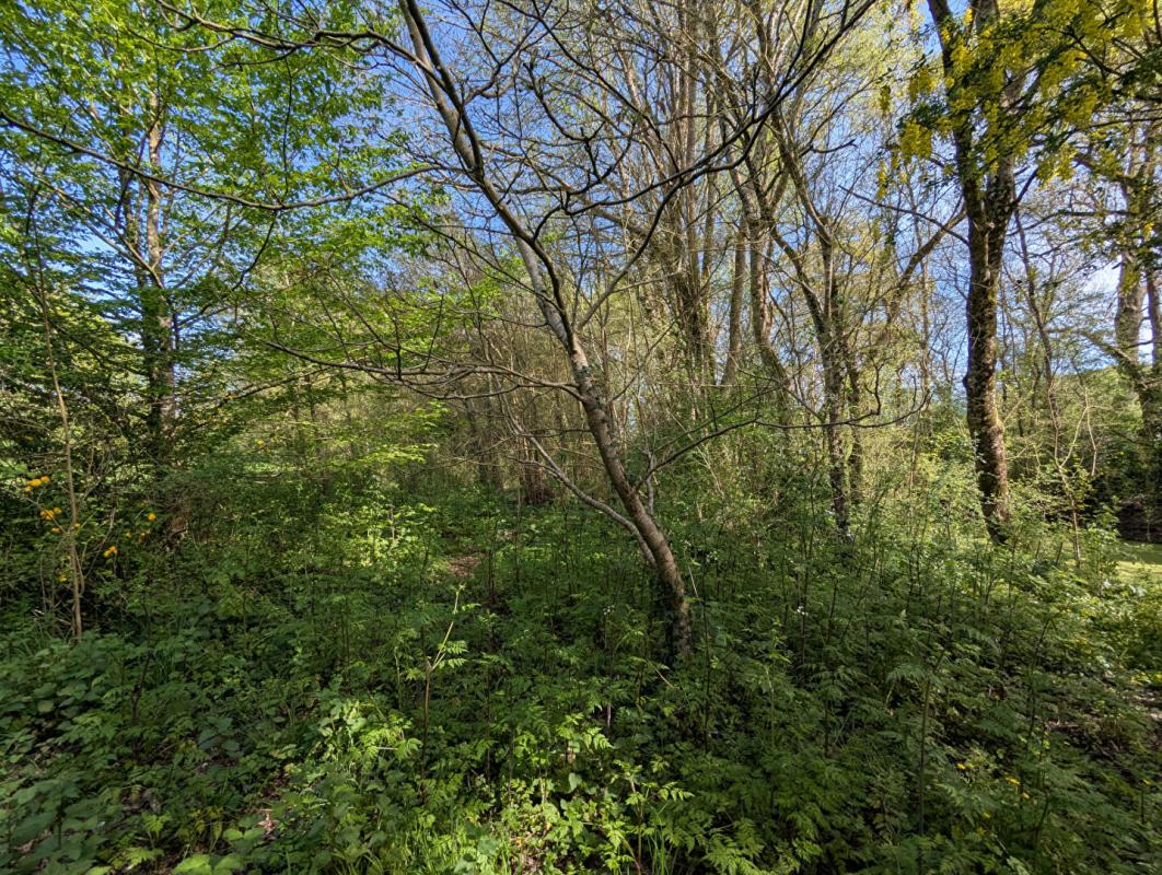 CAMPBON Maison de charme en pierre  ; Quilly 8