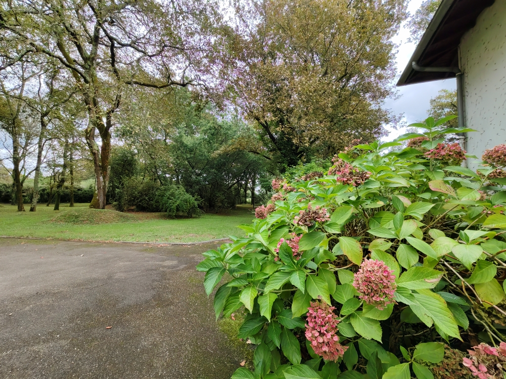 SAINT-PAUL-LES-DAX Maison Saint Paul Les Dax 7 pièce(s) 258 m2 15