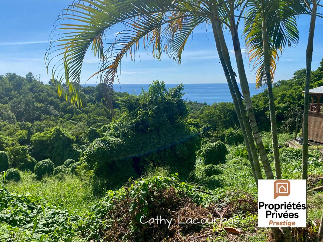 BOUILLANTE URGENT  - Terrain constructible vue mer - Bouillante 7709 m2 3