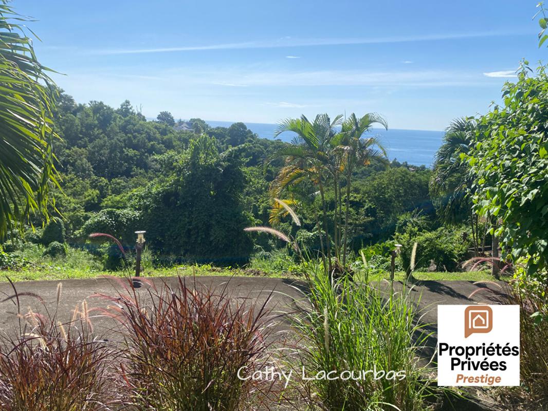 BOUILLANTE URGENT  - Terrain constructible vue mer - Bouillante 7709 m2 5