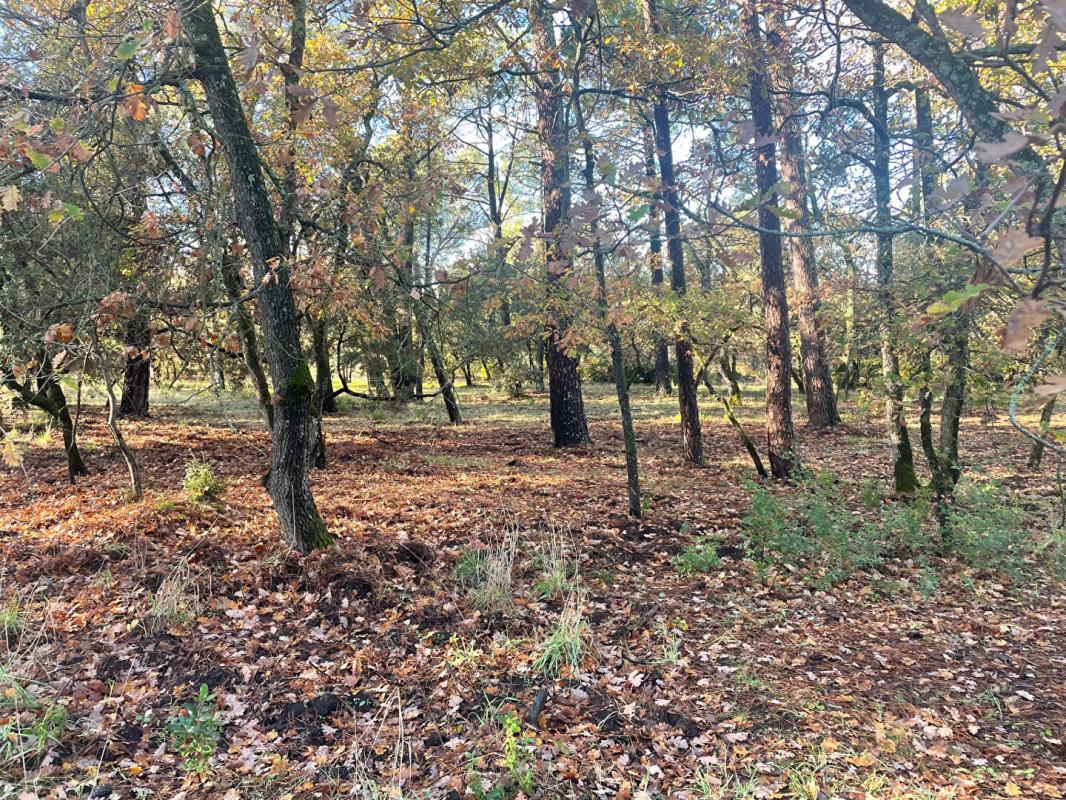 SAINT-SATURNIN-LES-APT Maison Saint Saturnin Les Apt 3 pièce(s) 85 m2 13