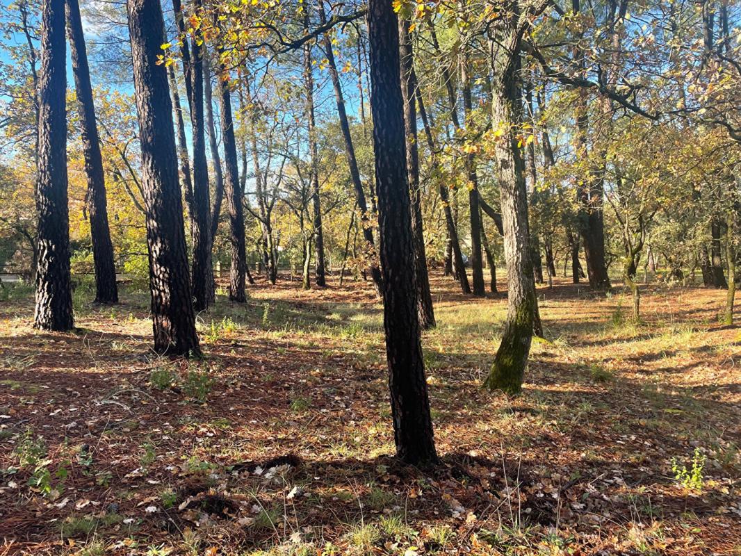 SAINT-SATURNIN-LES-APT Maison Saint Saturnin Les Apt 3 pièce(s) 85 m2 7