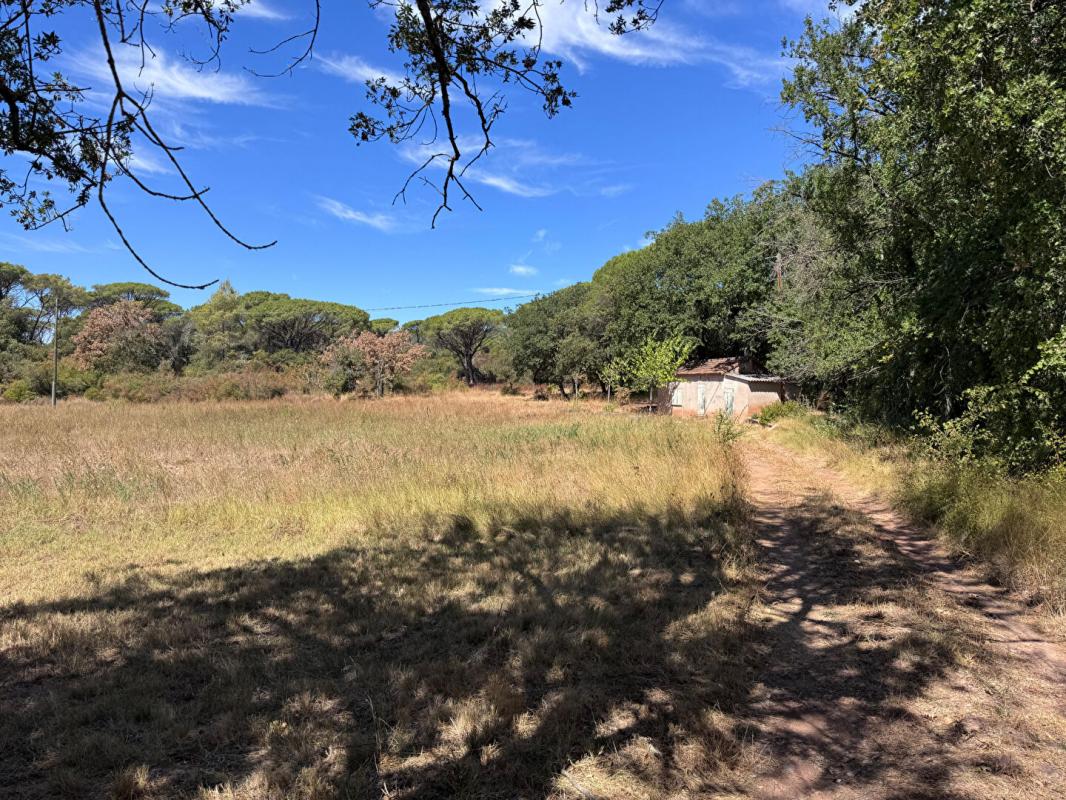 LE MUY Propriété  Agricole Le Muy  avec construction de 27m² a usage de hangar 1