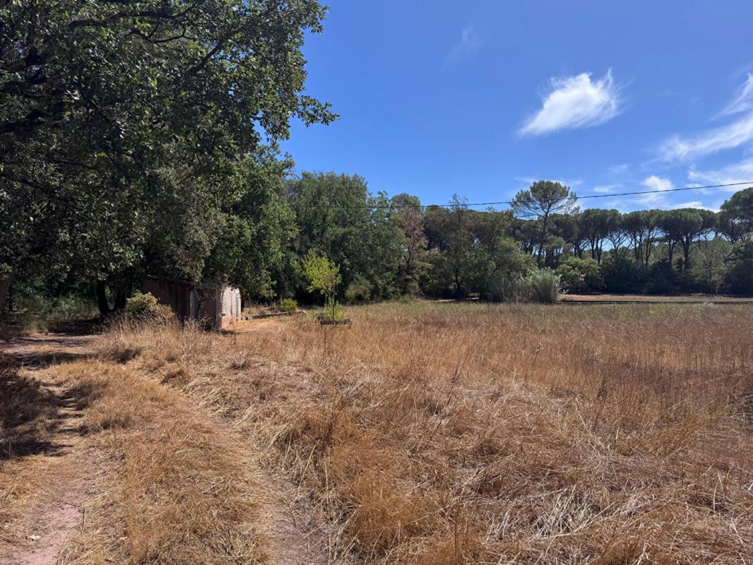 LE MUY Propriété  Agricole Le Muy  avec construction de 27m² a usage de hangar 4