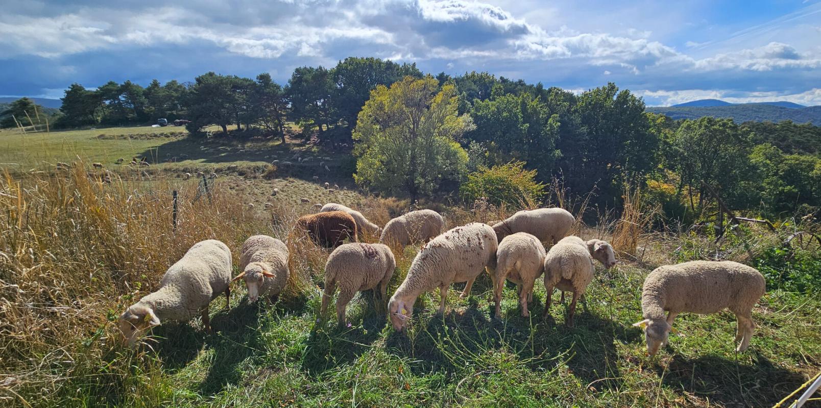 BARGEME Maison de hameau avec deux appartements +  terrain, à Bargème 15