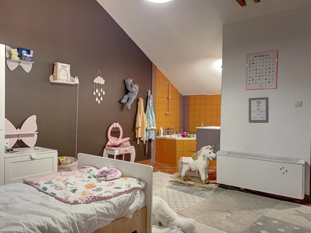 CHAMBOST-LONGESSAIGNE Loft Chambost Longessaigne 9 pièce(s) 9