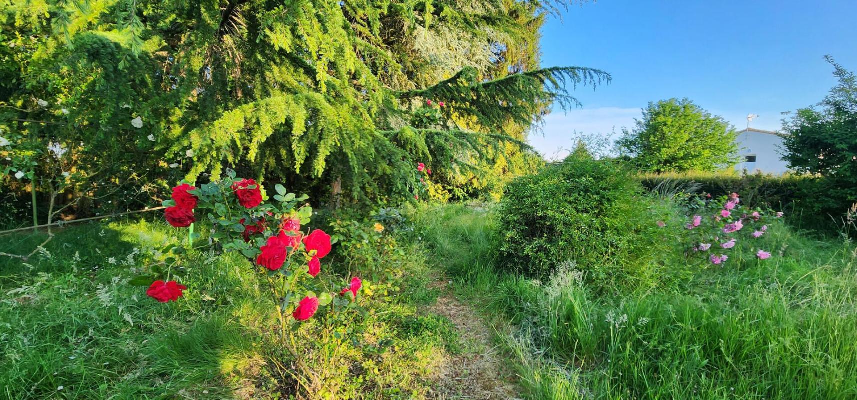 LA CAILLERE-SAINT-HILAIRE Maison Ancienne La Caillere Saint Hilaire 10