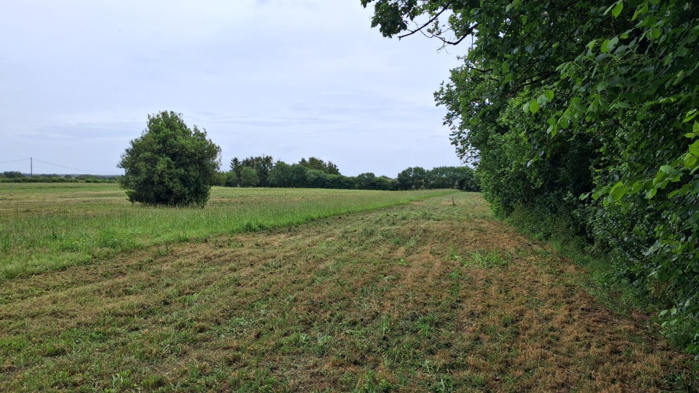 SAINT-VINCENT-SUR-JARD Ensemble immobilier : Maison + grange + 5 hangars + 2 terrains constructibles + dépendances 12