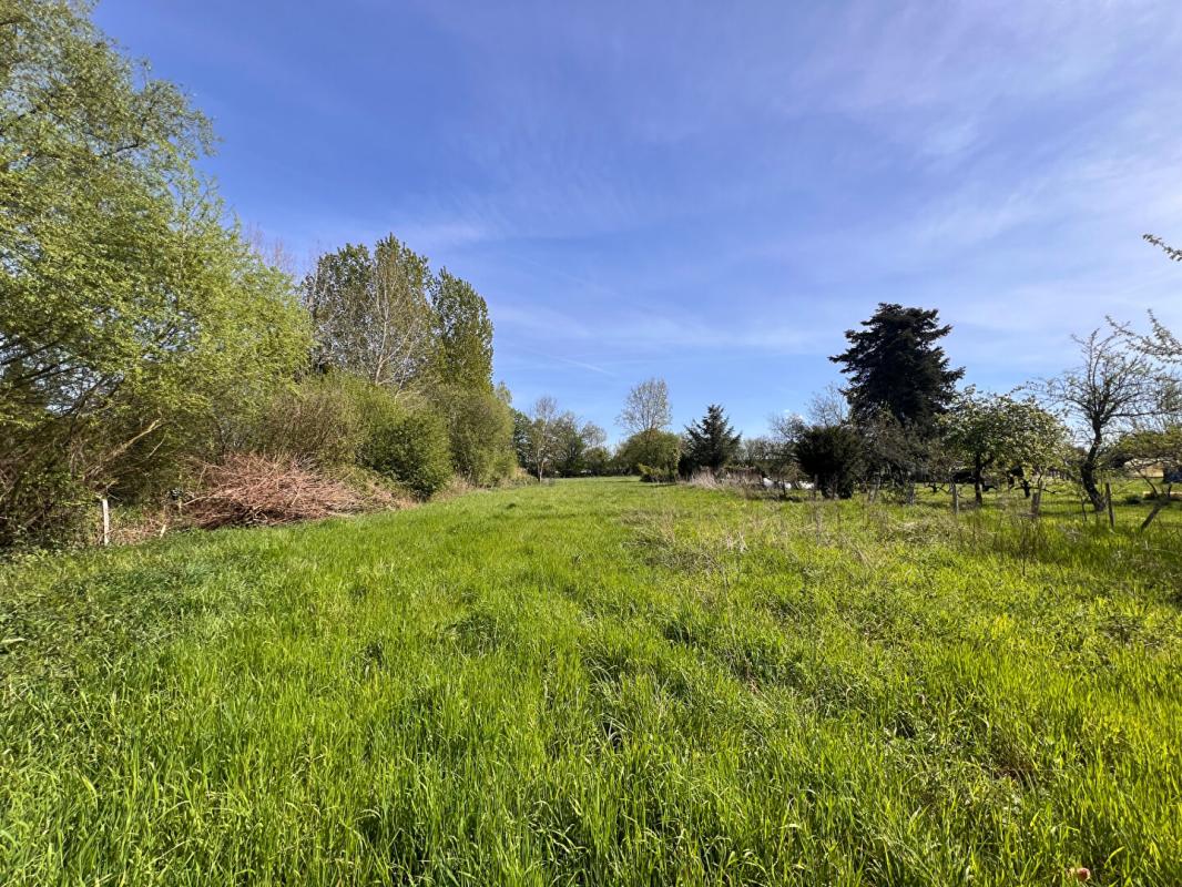 BEAUFAY Terrain à Allotir - Beaufay - 8776 m² 2