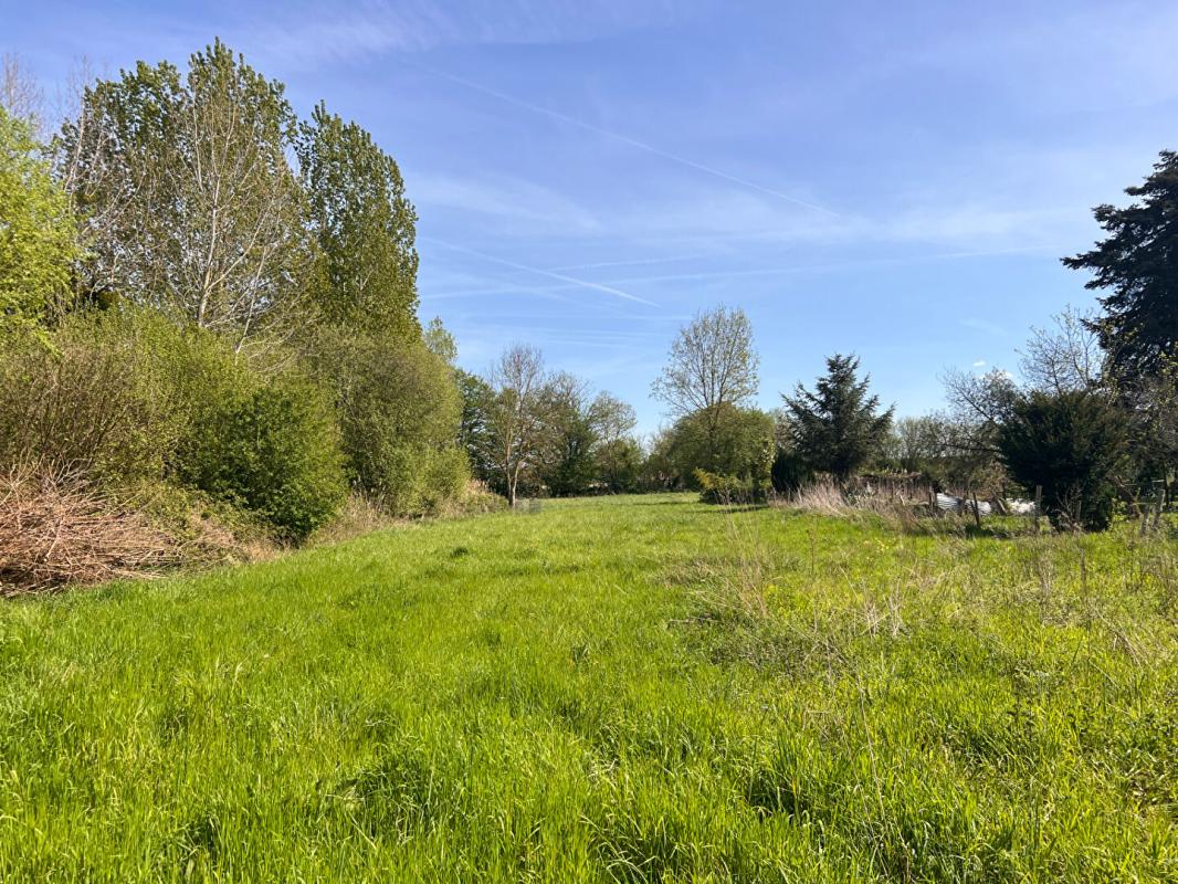 BEAUFAY Terrain à Allotir - Beaufay - 8776 m² 3