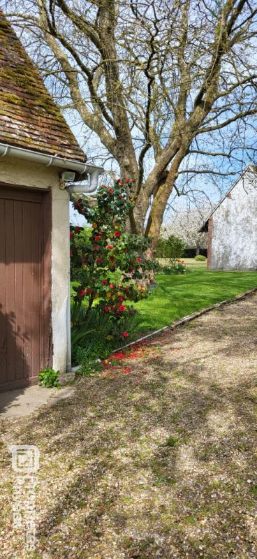 LES BARILS Propriété de campagne (+prairie) 14