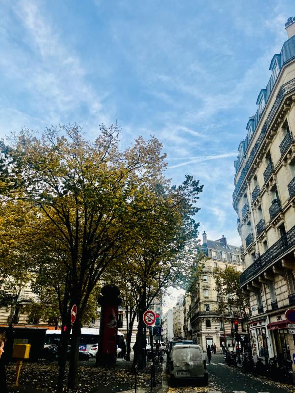 PARIS-17E-ARRONDISSEMENT Comme une suite de palace, un appartement  2 pièces vendu totalement rénové et meublé 12