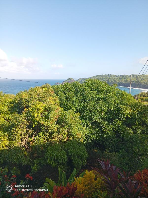 LE MARIGOT Immeuble Le Marigot  240 m2 2