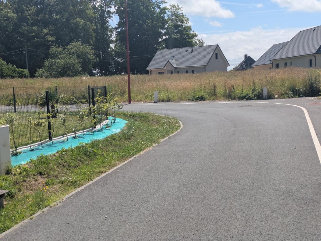 FAUVILLE-EN-CAUX Terrain constructible 896 m² ? 100% viabilisé -Environnement calme ? Ste Marguerite-sur-Fauville 5