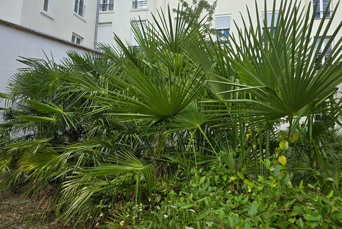 VICHY Appartement Vichy 2 pièce(s) 28 m2 6