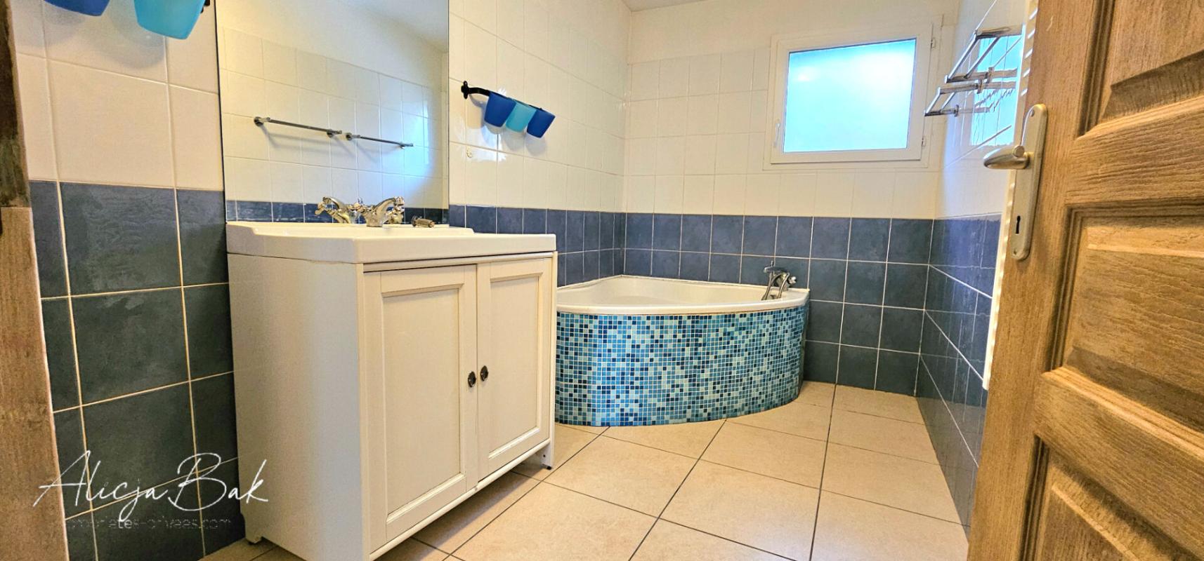 CASTELNAUDARY Immeuble Castelnaudary 10 pièce(s) 235 m2 5