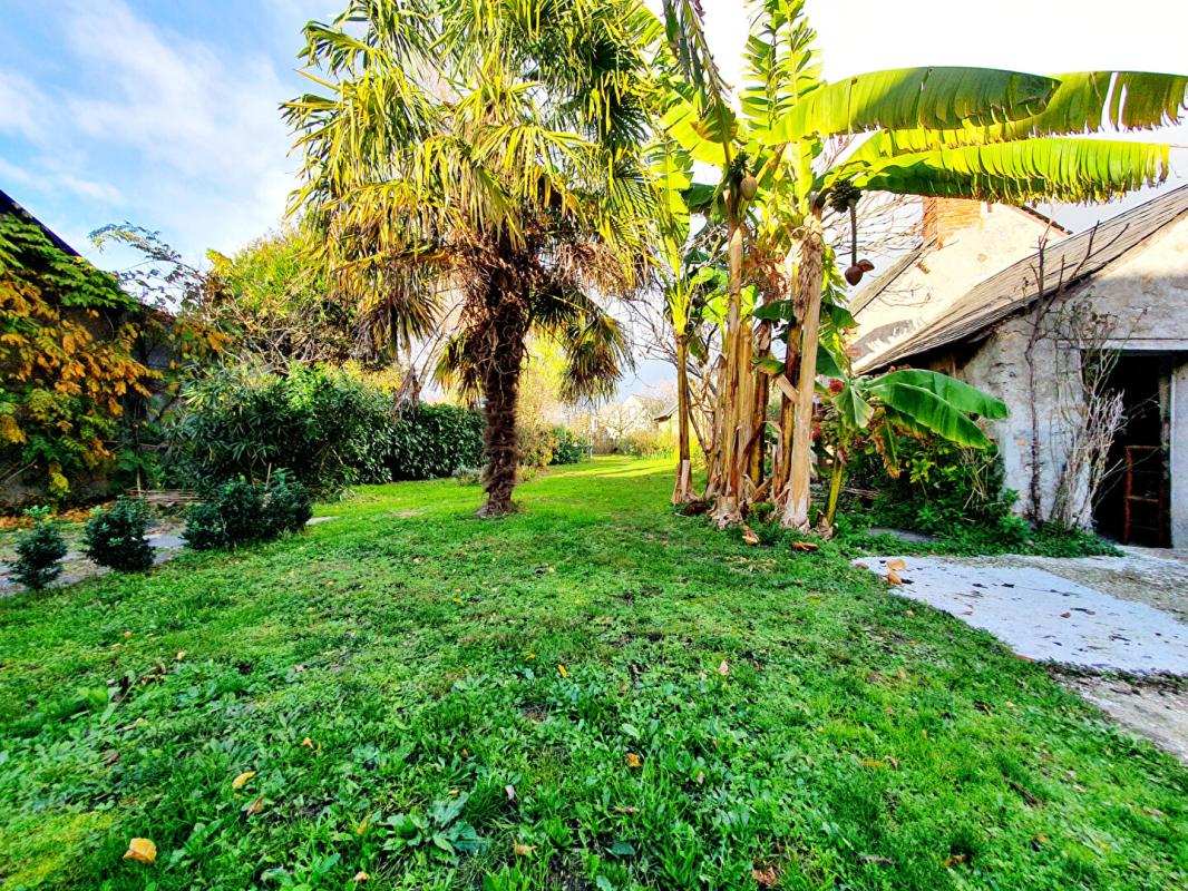 LA FERRIERE-DE-FLEE Maison Segré en Anjou Bleu 17