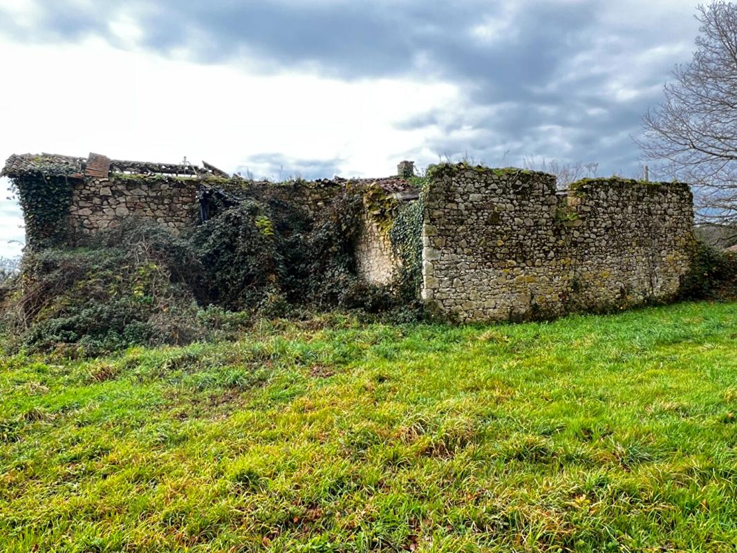 LES CHATELLIERS-CHATEAUMUR Ruine en Pierre, Les Châtelliers-Châteaumur 4