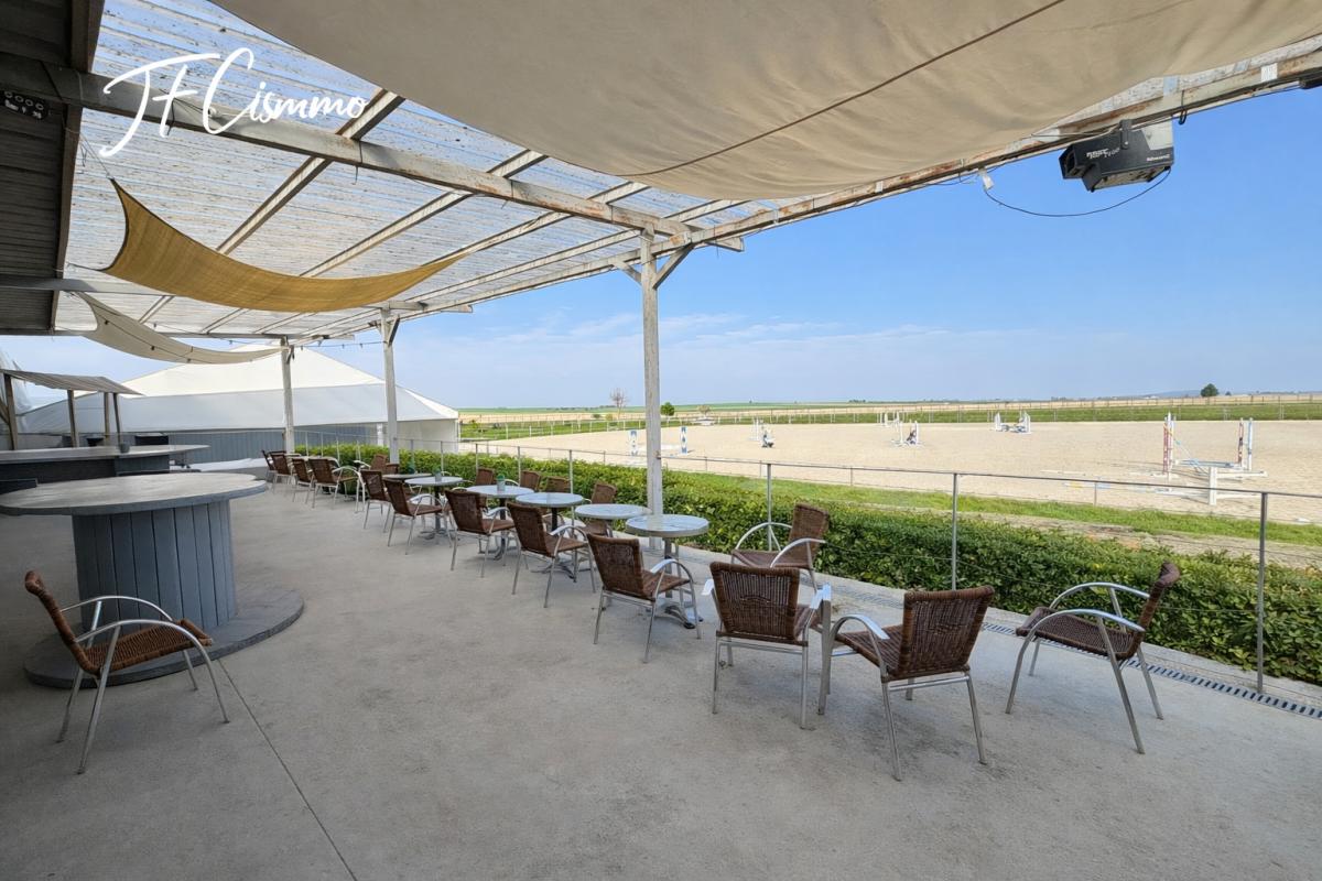 REIMS Propriété équestre Reims sur 2,5 hectares de terrains 7