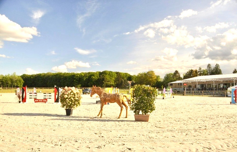 REIMS Propriété équestre Reims sur 2,5 hectares de terrains 8