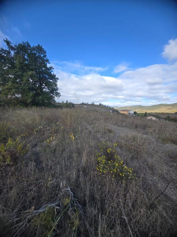 NARBONNE Vente Terrain  2463 m2 11360 VILLENEUVE LES CORBIERES 99 990 HAI 4