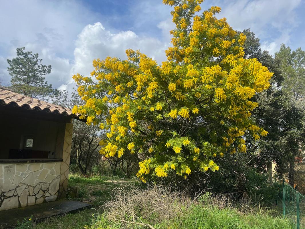 ROCHEFORT-DU-GARD Terrain 500 m²  ROCHEFORT DU GARD   119 000 2