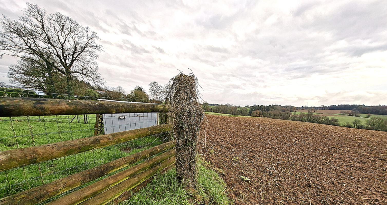 REGUINY Terrain agricole Radenac pour Propriétaire de chevaux ou agriculteur 2