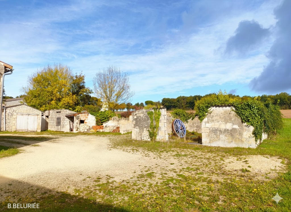 AULNAY Maison Aulnay 11 pièce(s) 250 m2 15