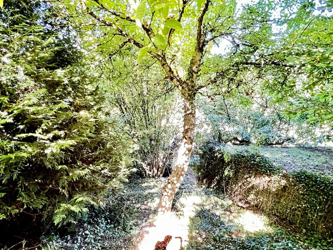 DARNEY Maison de village Darney 3 pièce(s) 62 m2 12