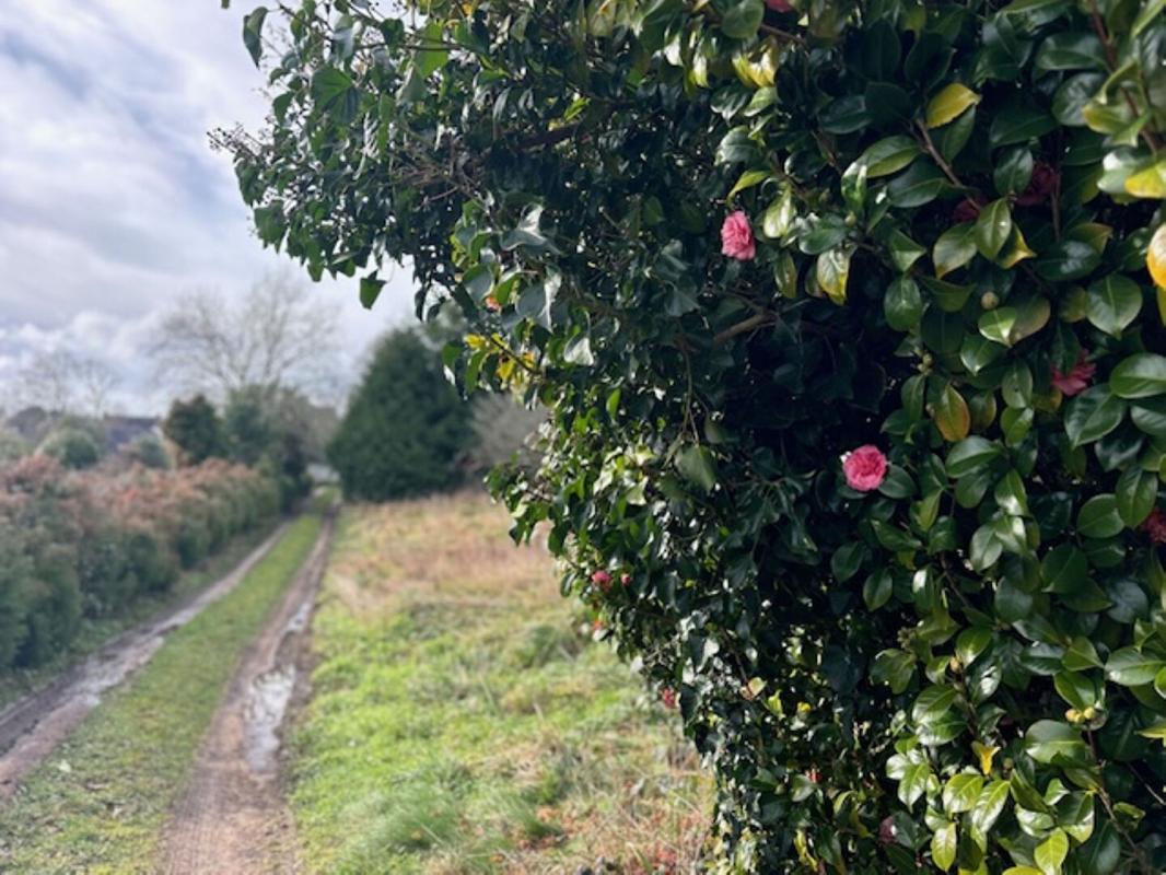 PLOMELIN Maison de caractère à rénover -130m² Grand terrain Plomelin 17